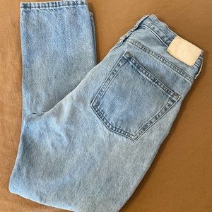 Everlane the cheeky jean